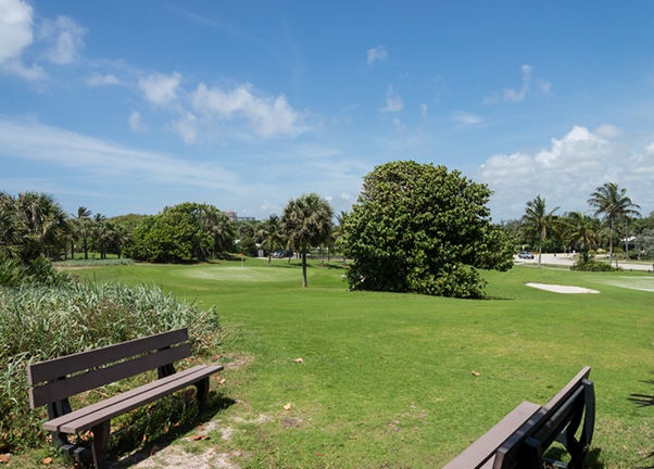 red reef park