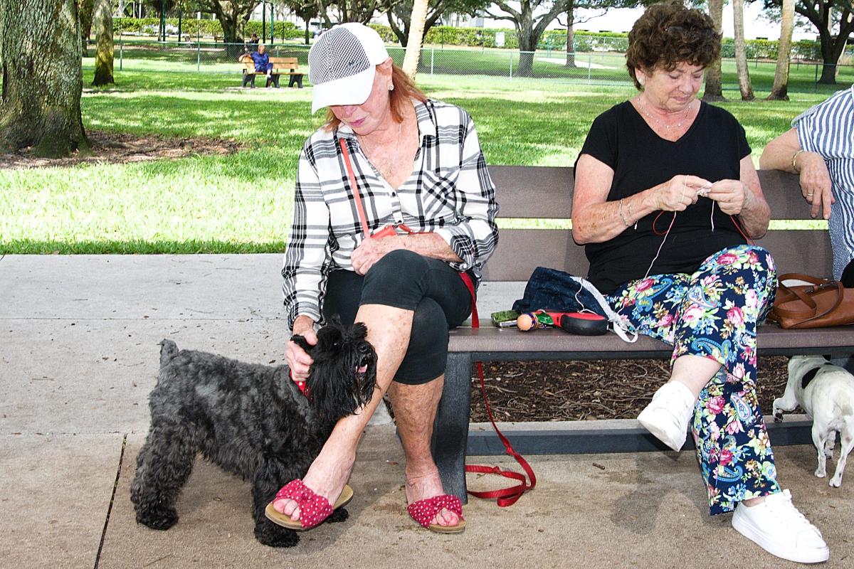 Greater Boca Raton Beach Park and District | Boca Barkers - Mizner Bark