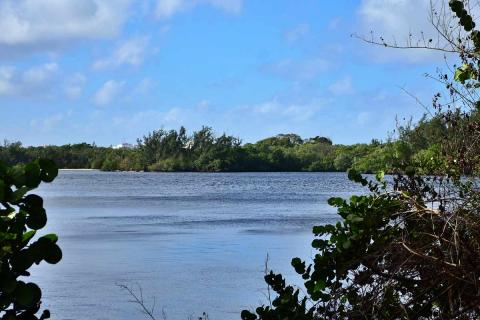 View of the Intracoastal from newly cleared Ocean Strand Park