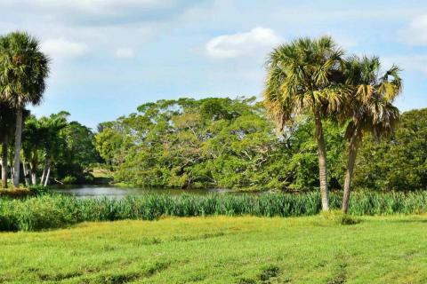 Boca Teeca Lake 