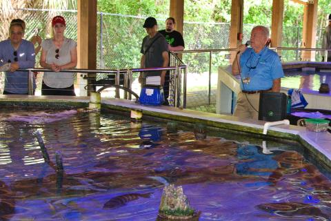 Ocean Day Presentation