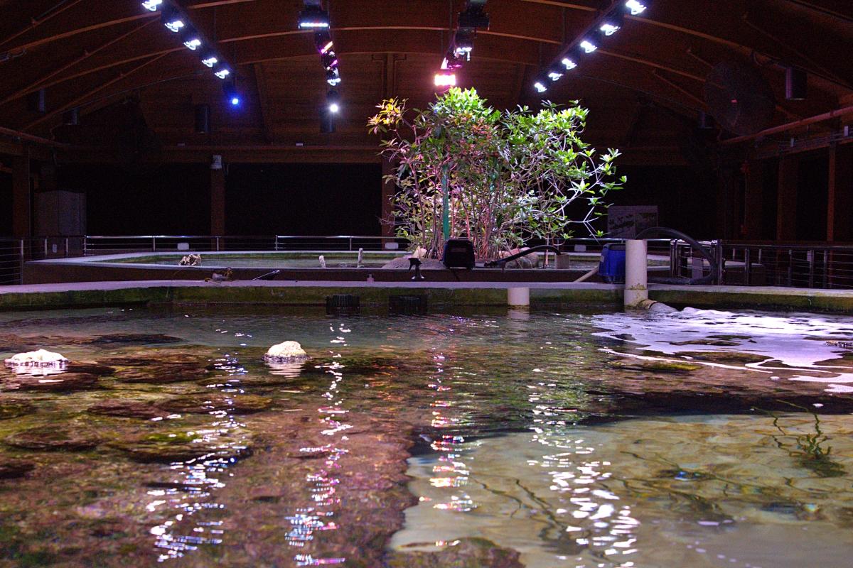Long view of the covered tanks