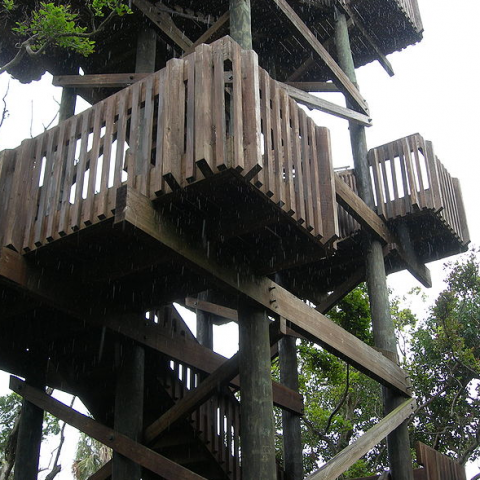 Gumbo limbo tower