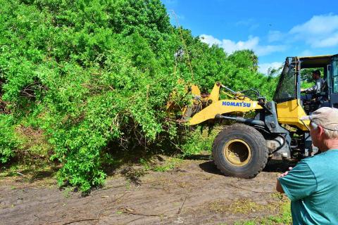 Tractors remove invasive vegetation at Ocean Strand Park