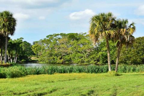 Boca Teeca Lake 