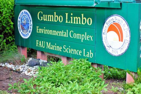 Gumbo Limbo Sign