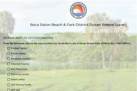 Ocean Breeze visioning survey