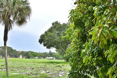 The former Ocean Breeze golf course.