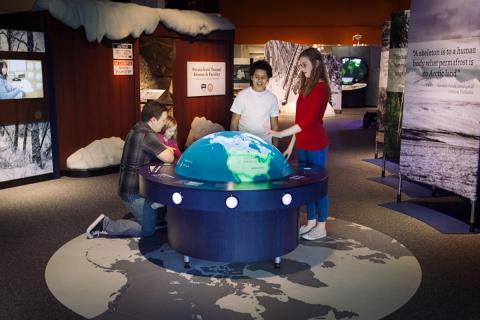 People enjoying the Under the Arctic exhibit