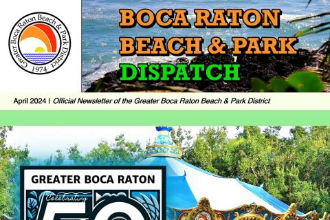 District Dispatch Newsletter Masthead