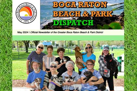 District Dispatch Newsletter