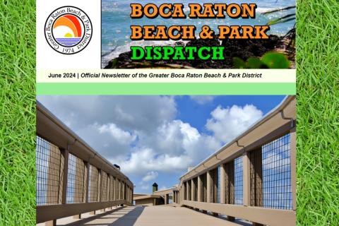 District Dispatch cover June 2024