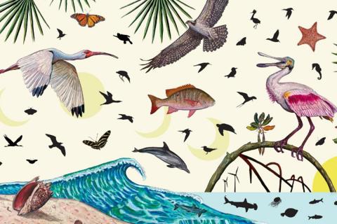 Portion of the mural coming to Sugar Sand Park