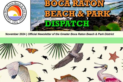 District Dispatch Newsletter 2024