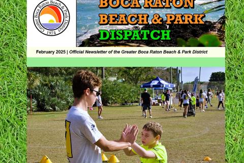 District Dispatch Screen Grab
