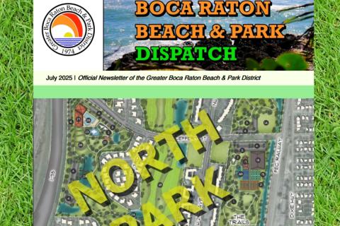 District Dispatch Newsletter