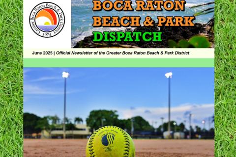 District Dispatch Newsletter June 1025