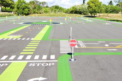 Traffic Garden