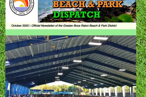 District Dispatch October 2025