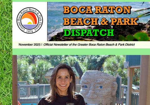 District Dispatch Newsletter