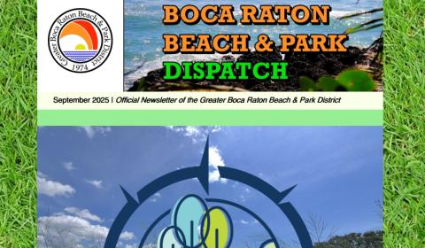 Newsletter Screen Grab