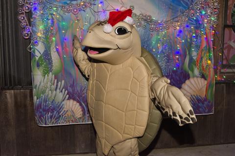 Luna Arrives at Gumbo Limbo Aglow!