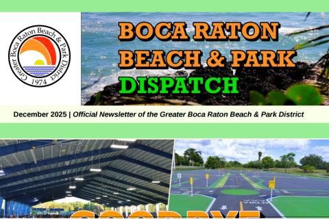 District Dispatch Newsletter