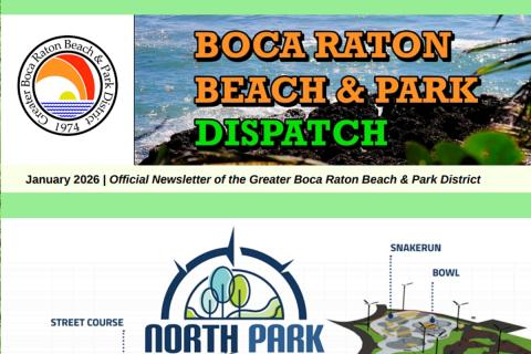 District Dispatch