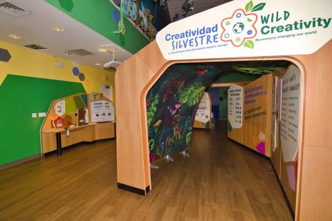 Wild Creativity Exhibit