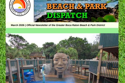 District Dispatch Newsletter