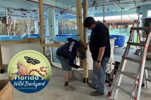 Gumbo Limbo Wild Backyard