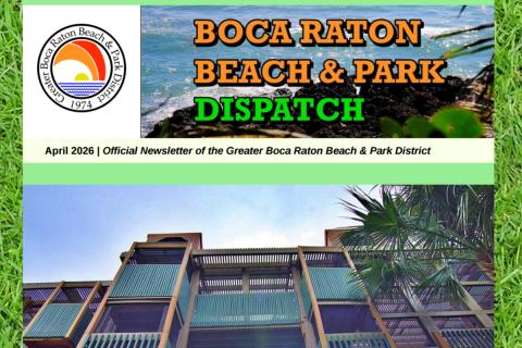 District Dispatch