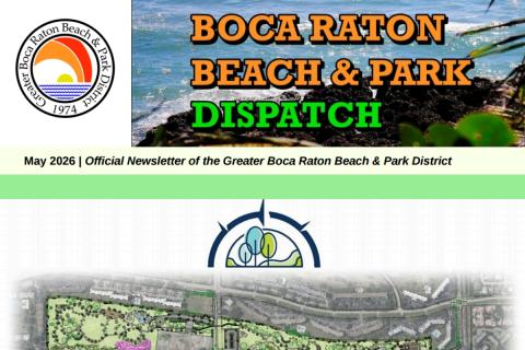 District Dispatch Newsletter