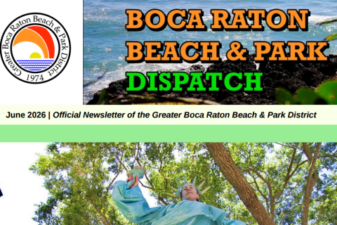 District Dispatch June 2026