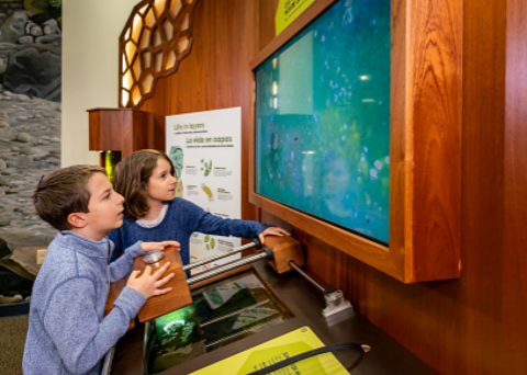Life on the edge exhibit 