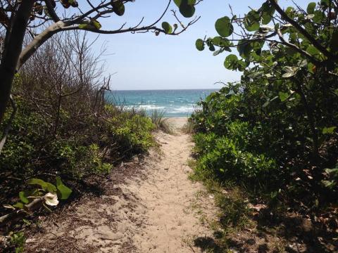 View of the beach and Atlantic Ocean from Ocean Strand