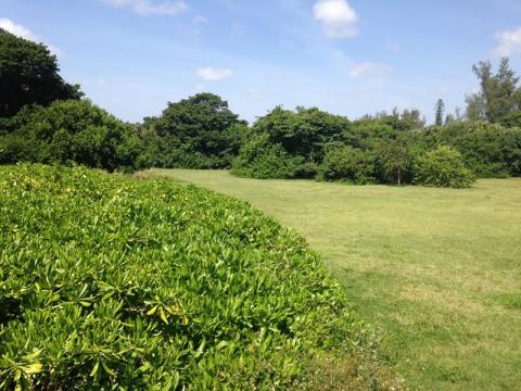 Ocean Strand Undeveloped Park Property